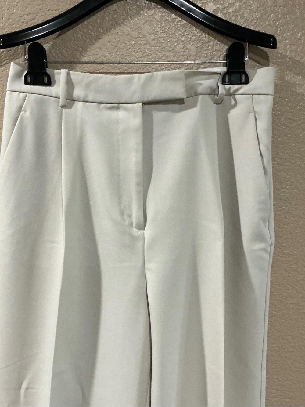 Zara Wide-Leg Pants in Cream